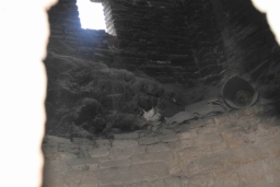 03 Burgio Visita209.JPG